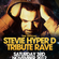 DJ SS & MC Fearless - Stevie Hyper D Tribute Rave - 3.11.12 (Exclusive to Rave Archive) image