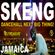 Skeng Mix 2022 Raw | Skeng Dancehall Mix 2022 | Dancehall NEXT Big Thing | DJ Treasure 18764807131 image