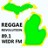 Reggae Revolution 8-6-13 image