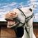 SuNDaY ToONs PaRT 1 3-3-13 image