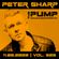 Peter Sharp - The PUMP 2022.06.11. image