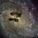 Love Cats In Infinite Space - Show 10 image