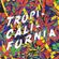 The Do-Over All-Stars - "Tropicalifornia"  Live At The Getty Center, Los Angeles (July 25, 2015) image