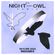 Night Owl Radio 391 ft. Skyline LA 2023 Mega-Mix image