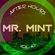 MR. MINT - AFTER HOURS VOL.10 image