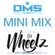 DMS MINI MIX WEEK #252 DJ WHEELZ image