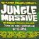 ~ DJ Hype - Jungle Massive Disc 1 ~ image