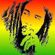 Reggae Revolution 2-1-11 image