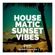 Various Artists - Housematic Sunset Mix W38 image