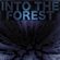 Into the Forest image