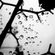 Liquid image