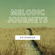 MELODIC JOURNEYS 29 Selection and Mixed By LuNa image