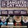 Gangster Cat Haus Mix (House Vibes) image