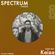 Spectrum Radio #053 ft Kaiza image