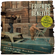 FRIENDS with BENEFITS Vol. 1: Petey Complex image