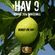 HAV 9 (Spring 2016 Dancehall) RAW image
