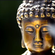 Rogier - Just June -2020- image