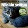 "Niinkin Sattuu" - Turun Säkki & Keravan Kolli - Vol 11 image