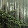 Cosmic ambient - Liquid Forest | audio mix image