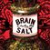 The Brain Salt Mix (January 2013) image