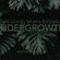 "Undergrowth" ~ Dark Drum & Bass Mix image