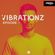 Paul Damixie`s Vibrationz - Episode 1 image