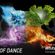 Sundance Ecstatic Dance: The Alchemy Of Dance image