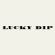 Jon Sable & Grace Wang Lucky Dip Mix image