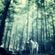 Lone Wolf Mix image