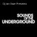 Sounds Of The Underground Volume 5 image