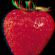 Strawberry Dub Mix image