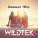 WILDTEK - Summer Mix |2017| image