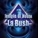After la bush #Back in Time 01 image