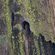 Luke Mele - 22nd January 2020 image