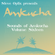 Steve Optix - Sounds of Amkucha Volume Sixteen image