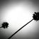juneGloom_14 image