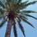 DJ G-Funk Spring Mix 2011 - feat. Quantic, Nickodemus, Louie Vega - http://garethfunk.wordpress.com/ image