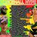 Dj Pink x Dj Stiburn - Dancehall Hype Vol.2 (Pink Djz)PROMO MIX image