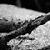 Towards The Margins #107 image