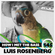 Luis Rosenberg - HOW I MET THE BASS #145 image
