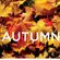 Best Of Chill Out Chart-2016 Autumn image
