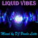 Mix Radio Show 1 hora 14-01-022 Liquid Vibes Mixed by DJ Paulo Leite image