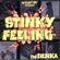 DJ Denka - Stinky Feeling image