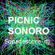 Sopadesobre_dj Picnic Sonoro 2021 image
