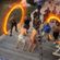 Alabama Riverboat Brawl Mix image