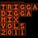 TRIGGA DIGGA MIX VOL.5 image