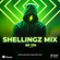 Shellingz Mix Ep 170 image