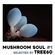 Mushroom Soul #1 image