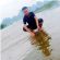 Nonstop - Việt Mix - Cơn Mưa Băng Giá - Dũng DC Mix image