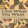 I Got What You Want (feat. Gizmo De Trini) image
